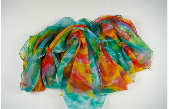 Flamboyantes Tulipes